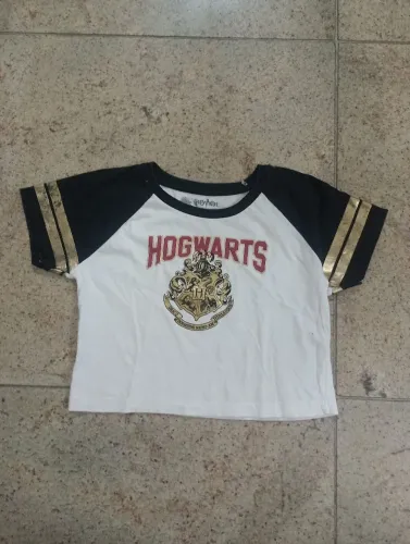 Camiseta Hogwarts