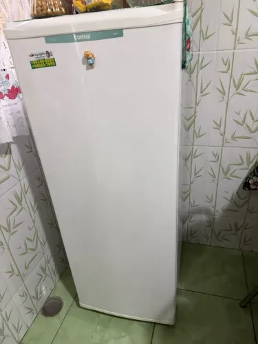 Freezer Cônsul