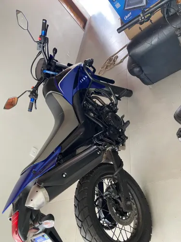 Vendo xt