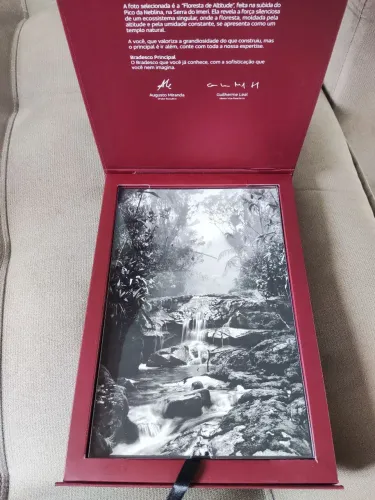 fotografia "Floresta de Altitude" (2014) de Sebastião Salga