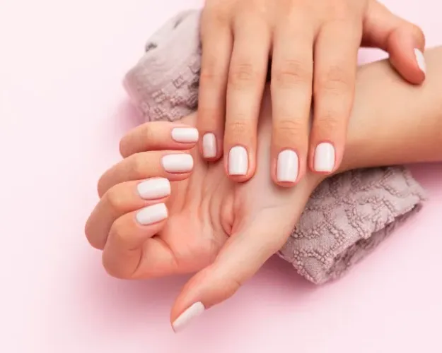 Esmalteria com Equipamentos Profissionais à Venda em São Paulo
