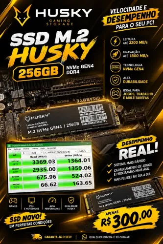 SSD 256GB M.2 HUSKY NVMe GEN4 DDR4