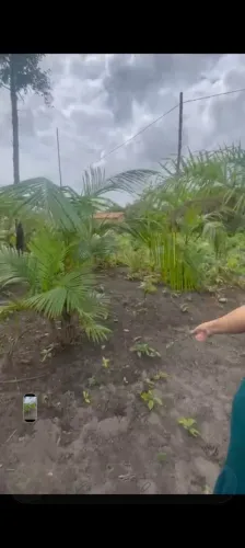 Sitio a 7 min de Augusto Corrêa 