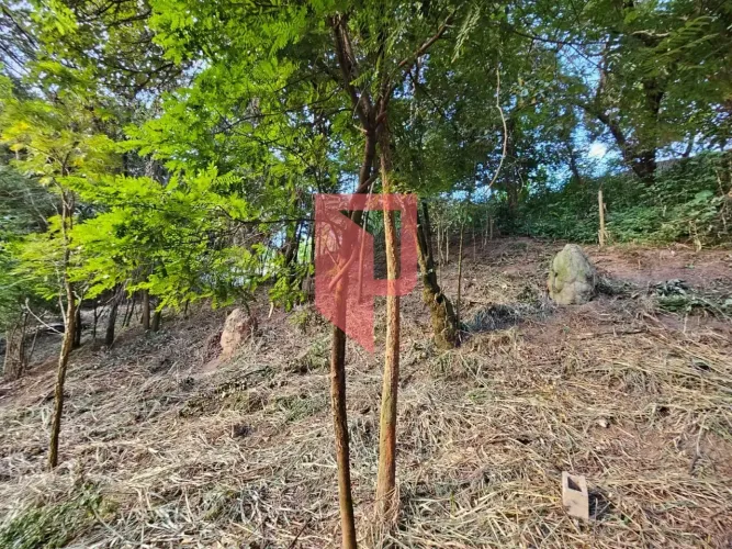 Terreno à venda no bairro Caiçaras, Belo Horizonte, MG