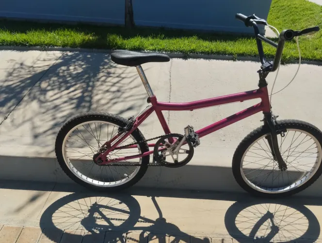 Biscicleta