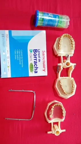 Odontologia