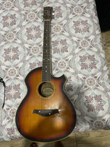 Violão Waldman