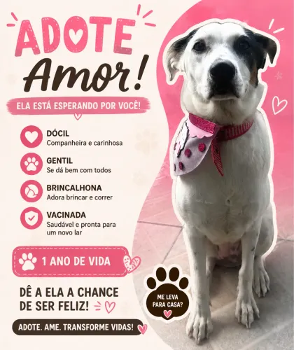 Adoção