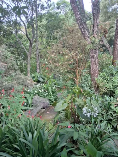 Casa de condomínio em Cotia, terreno com 1.100m2