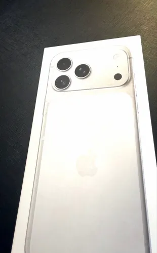 17 pro max