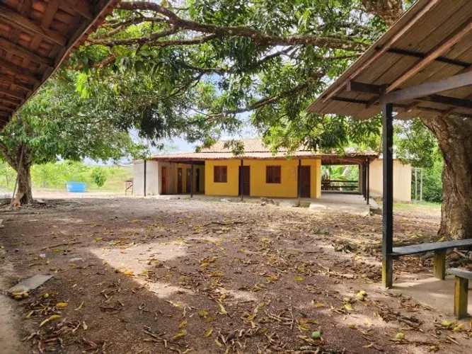 Fazenda em Concórdia de Altíssima Produção no Pará - 200 Alqueres - Açaí Irrigado e Gado