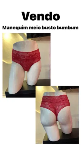 Manequim meio busto e bumbum 