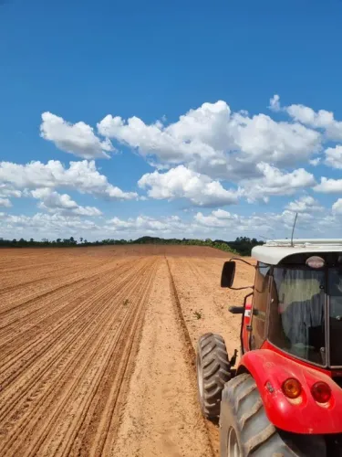 Fazenda Goiás Cavalcante 