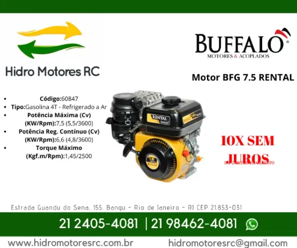 Motor gasolina