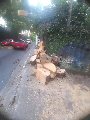 Cata Bagulho 