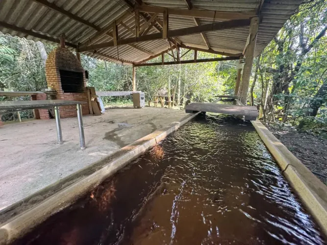 Chácara a venda de 1 alqueire com casa de 2 quartos com muita água