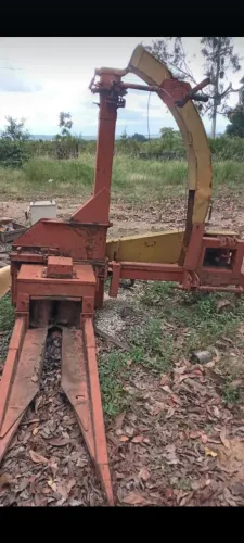 Peça nogueira Pecus * 