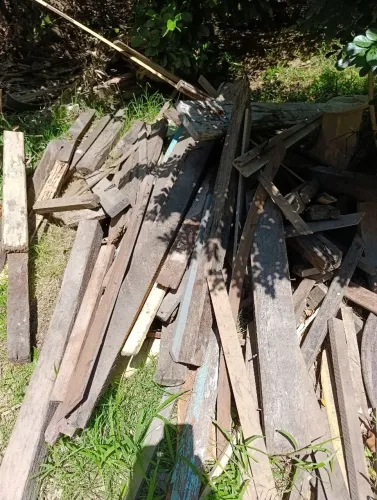 Doação de madeiras (pontas de Parajú)