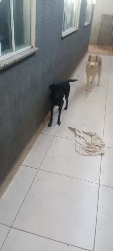 Doação 