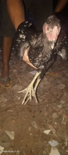 Vendo esse flamengo não Faço entrega