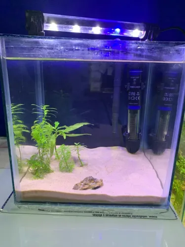 Aquário de 8 litros