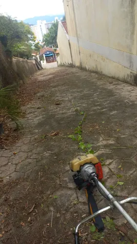 Serviços jardins 