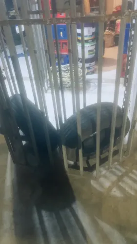 Pneus usados