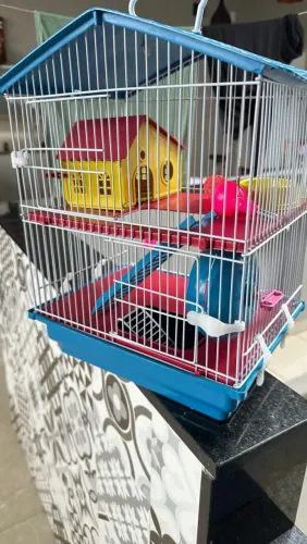 Vende se gaiola para Hamster, não baixo valor está praticamente novo 