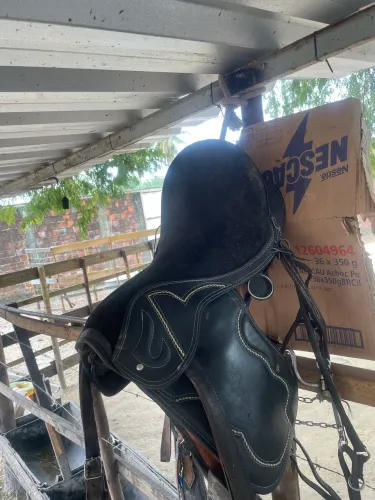 Cela de cavalo