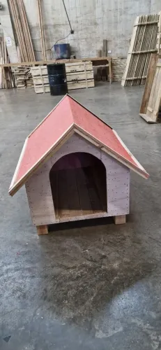 Casinha de cachorro 
