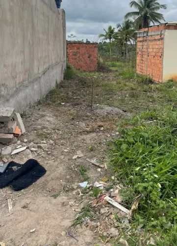 Terreno próximo a delegacia nova de Amélia Rodrigues 