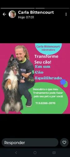 Adestramento de Cães em Salvador - Obediência e Comportamento