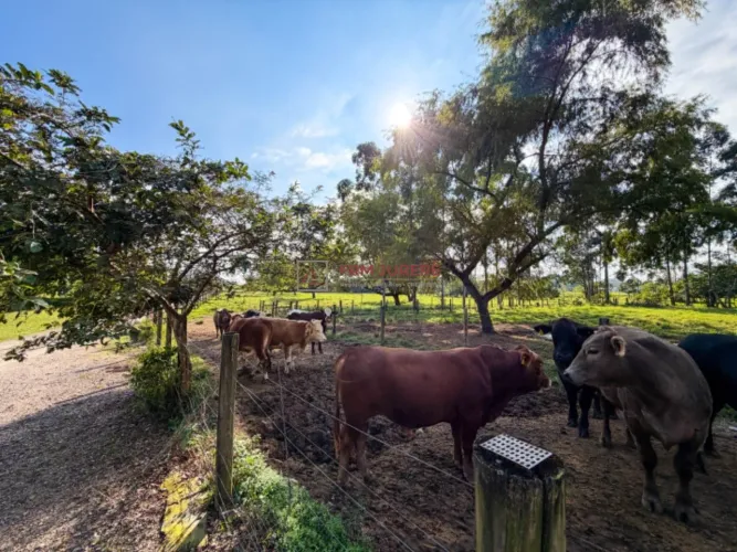 Sítio à venda no Guarda do Cubatão, em Palhoça/SC