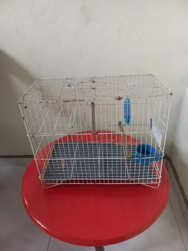 Gaiola para piriquito