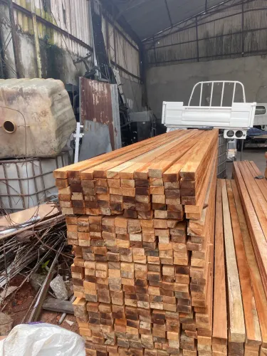 Pernamanca mandioqueira 4mts