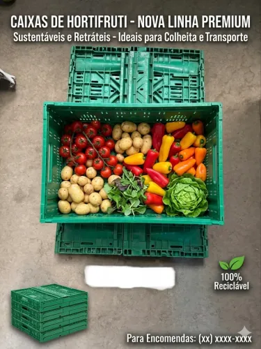 Caixas de hortifruti organizadora e dobrável 