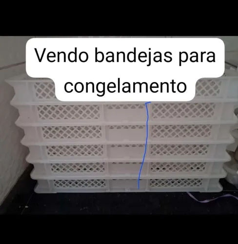 Bandeja para congelamento de salgados 
