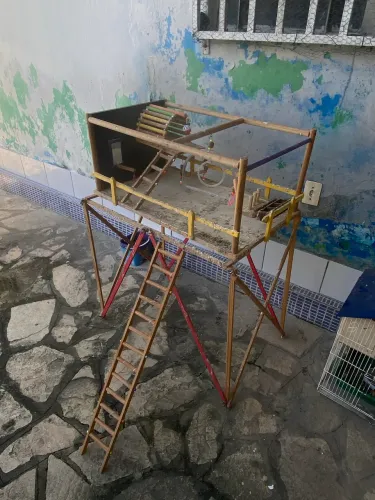 Brinquedario para animal (passaro)