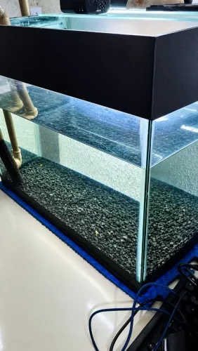 Aquário para peixe