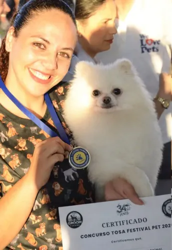 SPITZ ALEMÃO ANÃO - FILHOTES PARA RESERVA (BRANCOS COM PEDIGREE)
