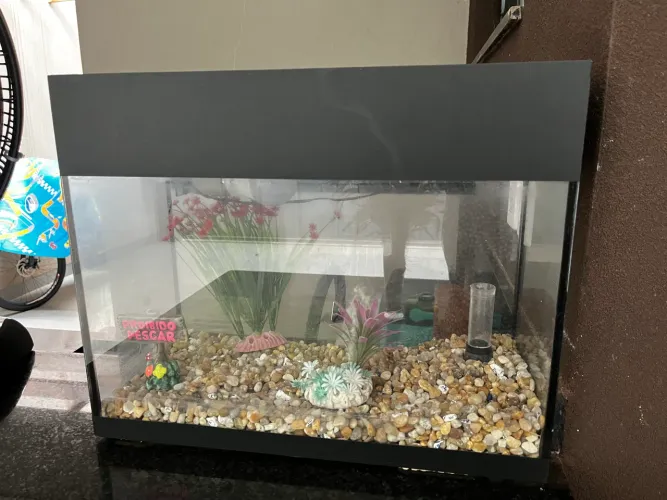 Aquário 30 litros 