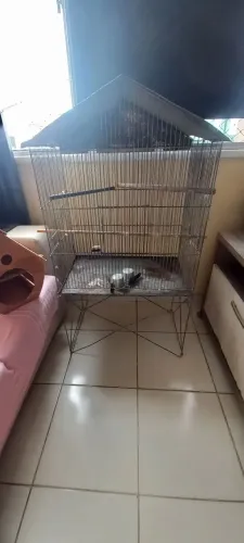 Gaiola grande pra pássaros