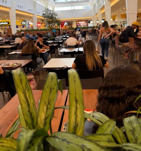 REPASSE (VENDA) DE LOJA DE FRANQUIA DE ALIMENTAÇÃO NO SHOPPING RECIFE