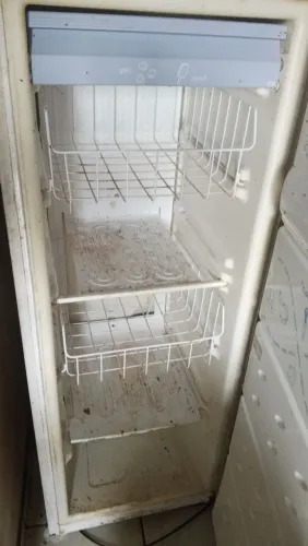 Freezer vestical