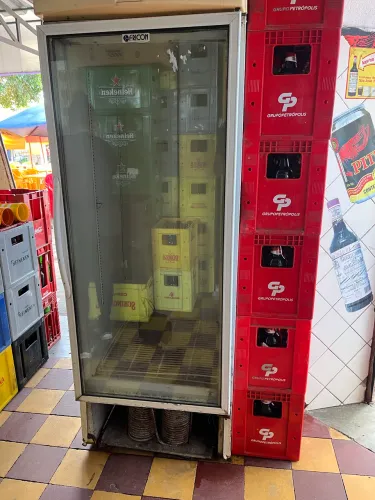 FREEZER EXPOSITOR