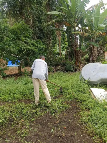 Rosagem com máquina costal