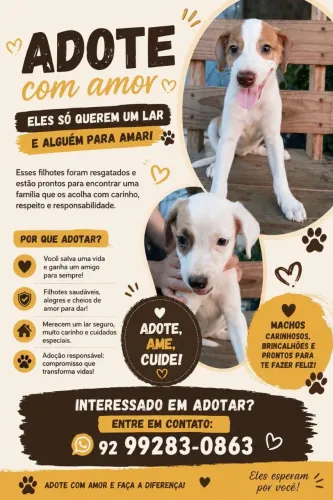 Doação de filhotes de cachorro