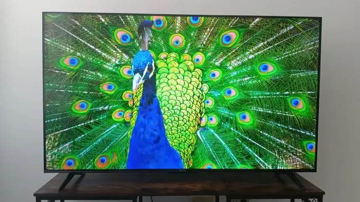 TV TCL Semp 55 polegadas