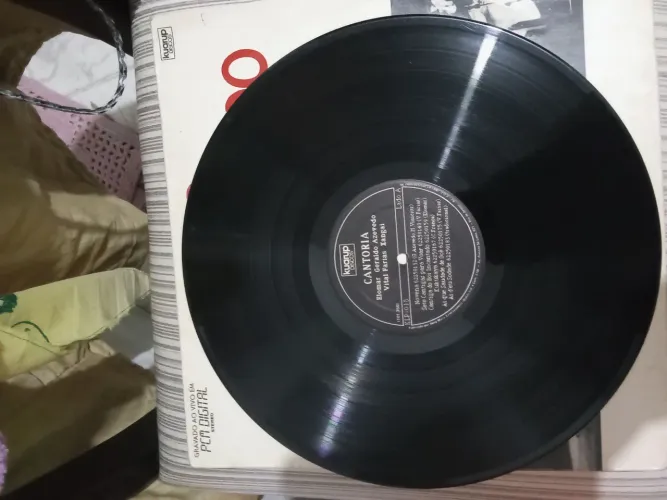 2Disco de Vinil 