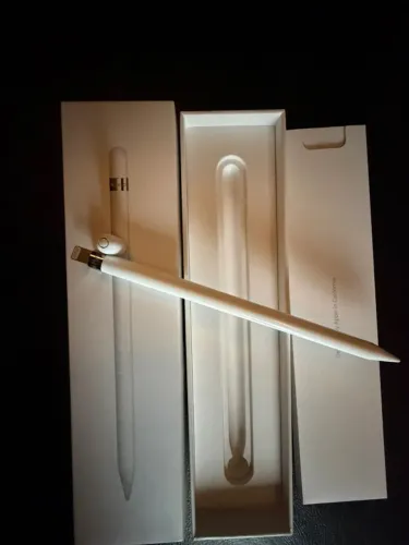 Apple Pencil 1a Geração Modelo A1603 Branco